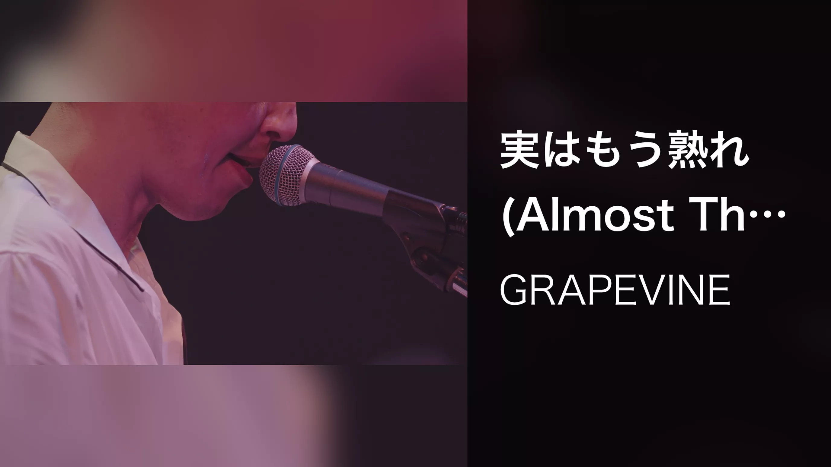 実はもう熟れ (Almost There Tour extra show Live at Zepp DiverCity 2024.03.28)