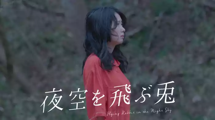夜空を飛ぶ兎