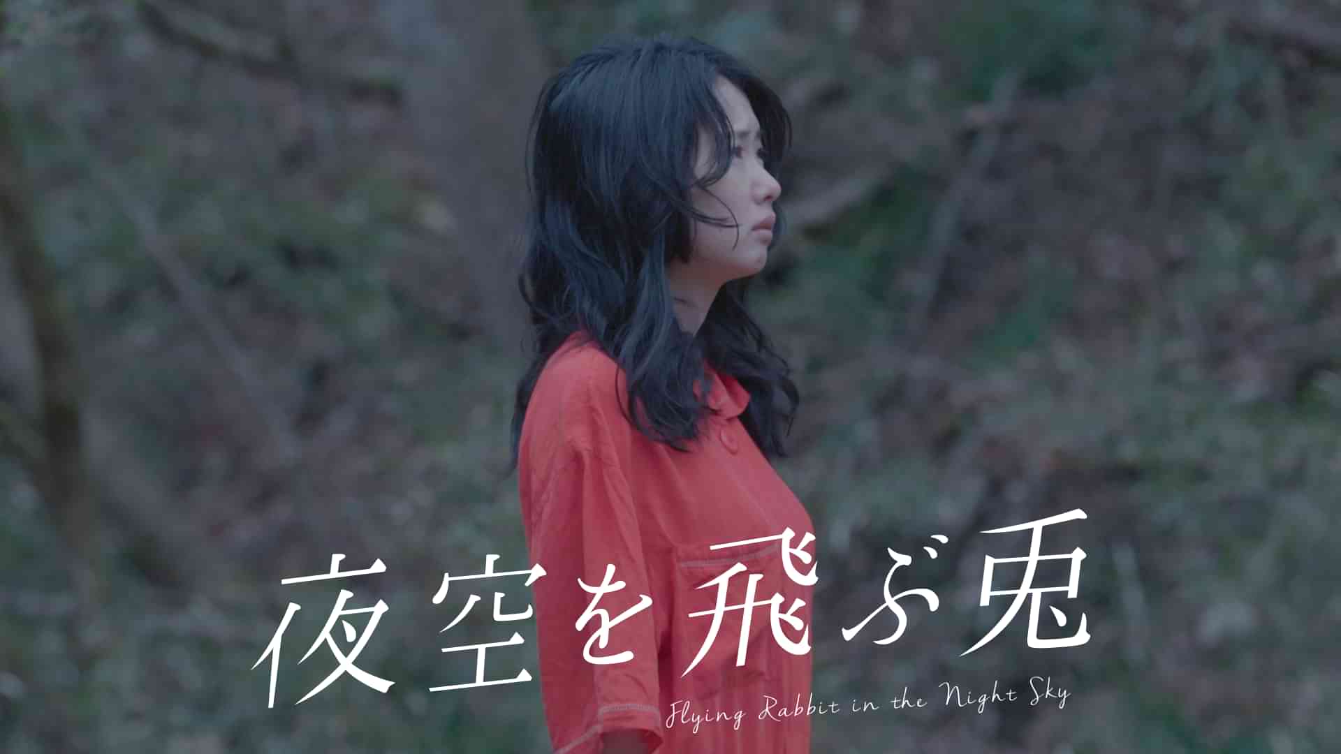 夜空を飛ぶ兎