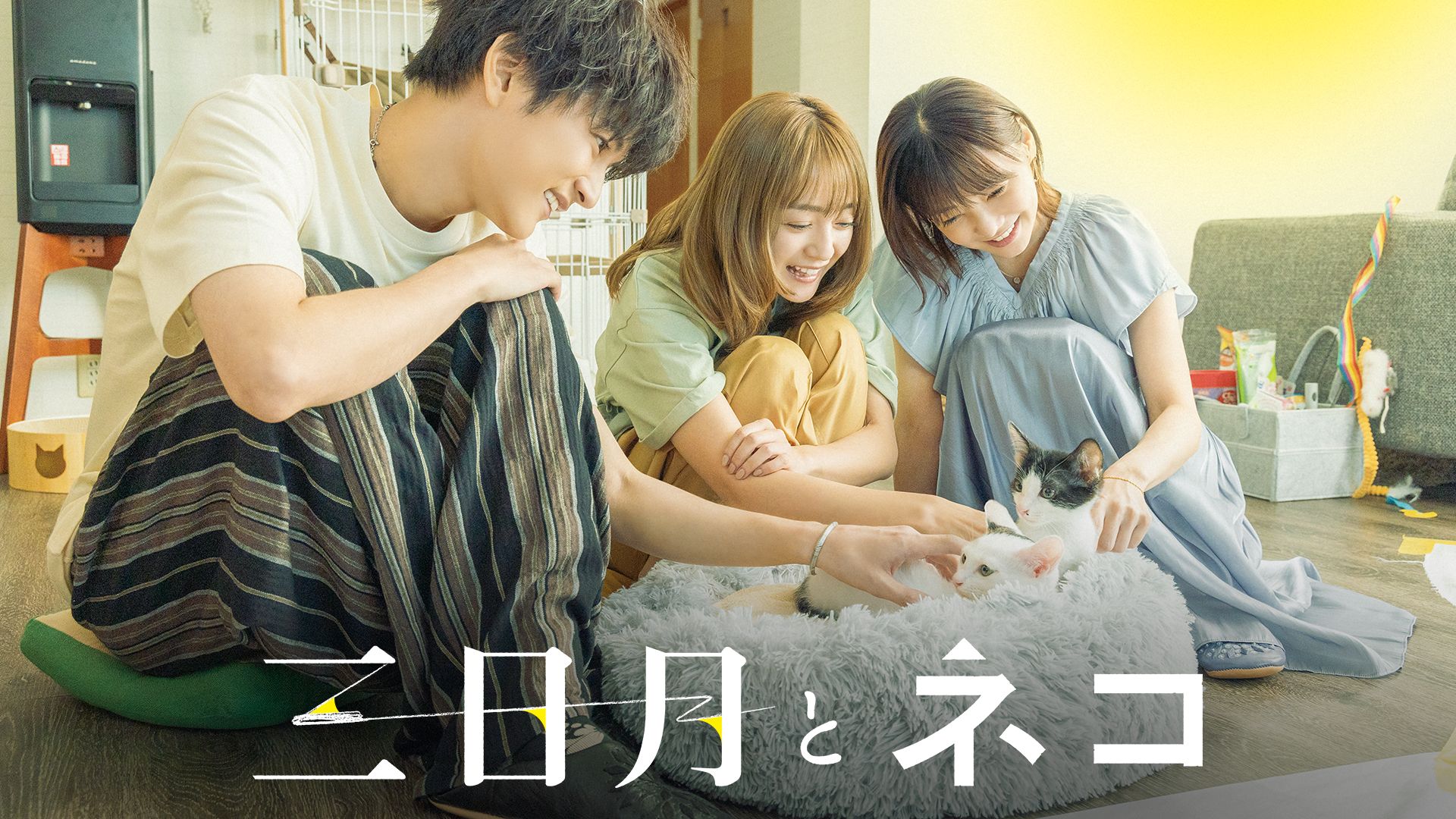 三日月とネコ