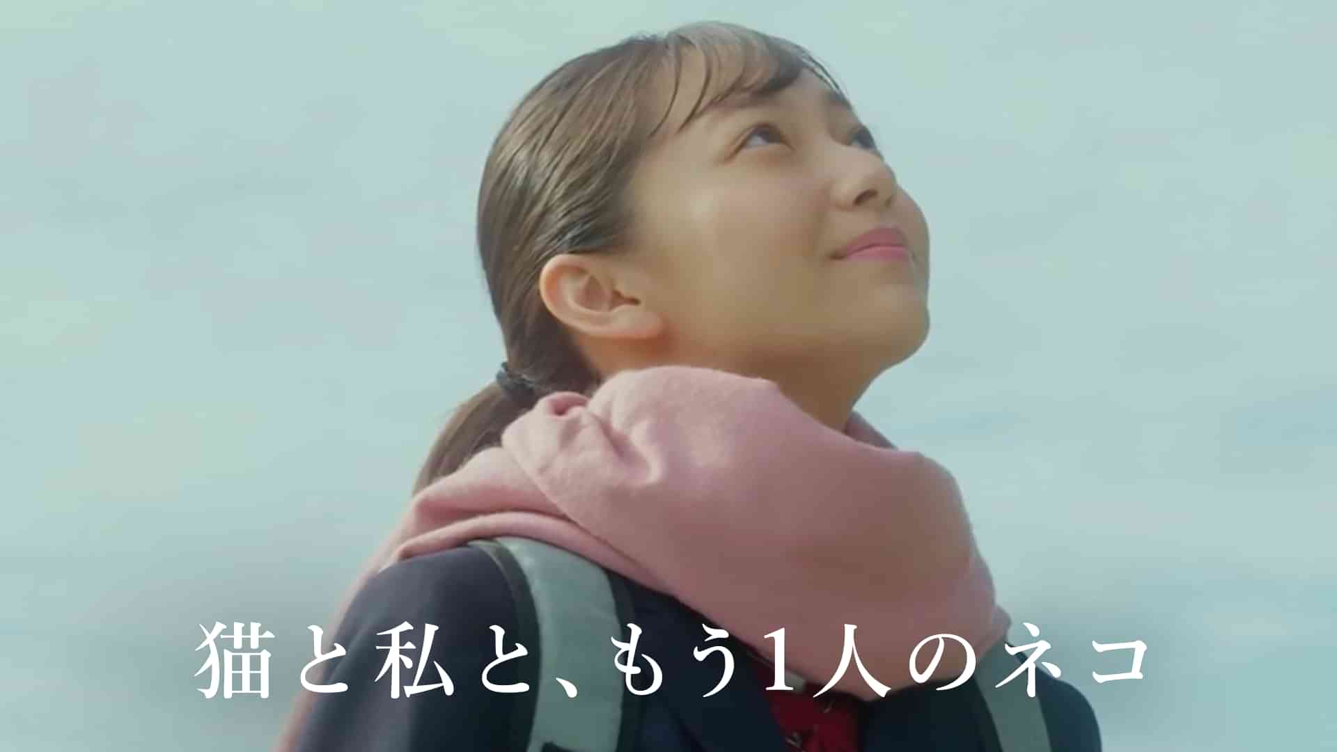 猫と私と、もう１人のネコ