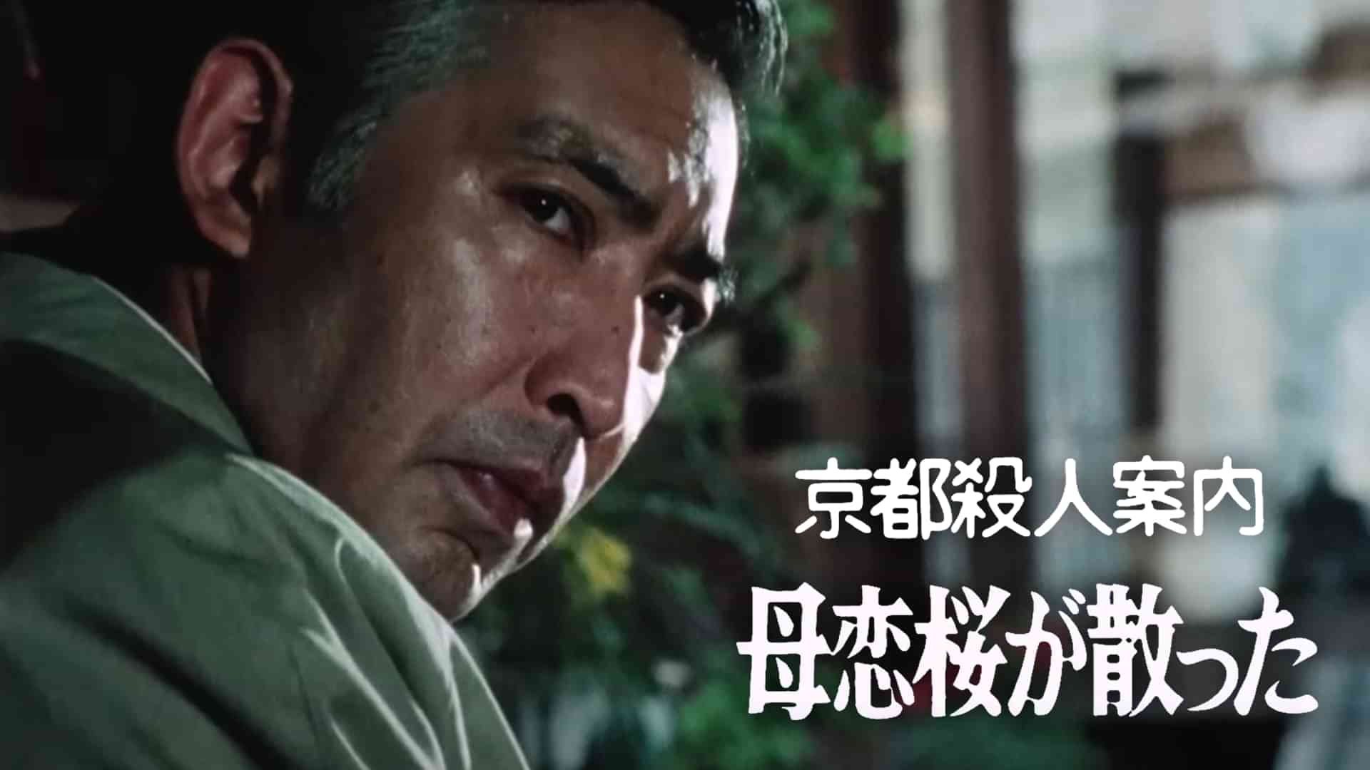 京都殺人案内　母恋桜が散った