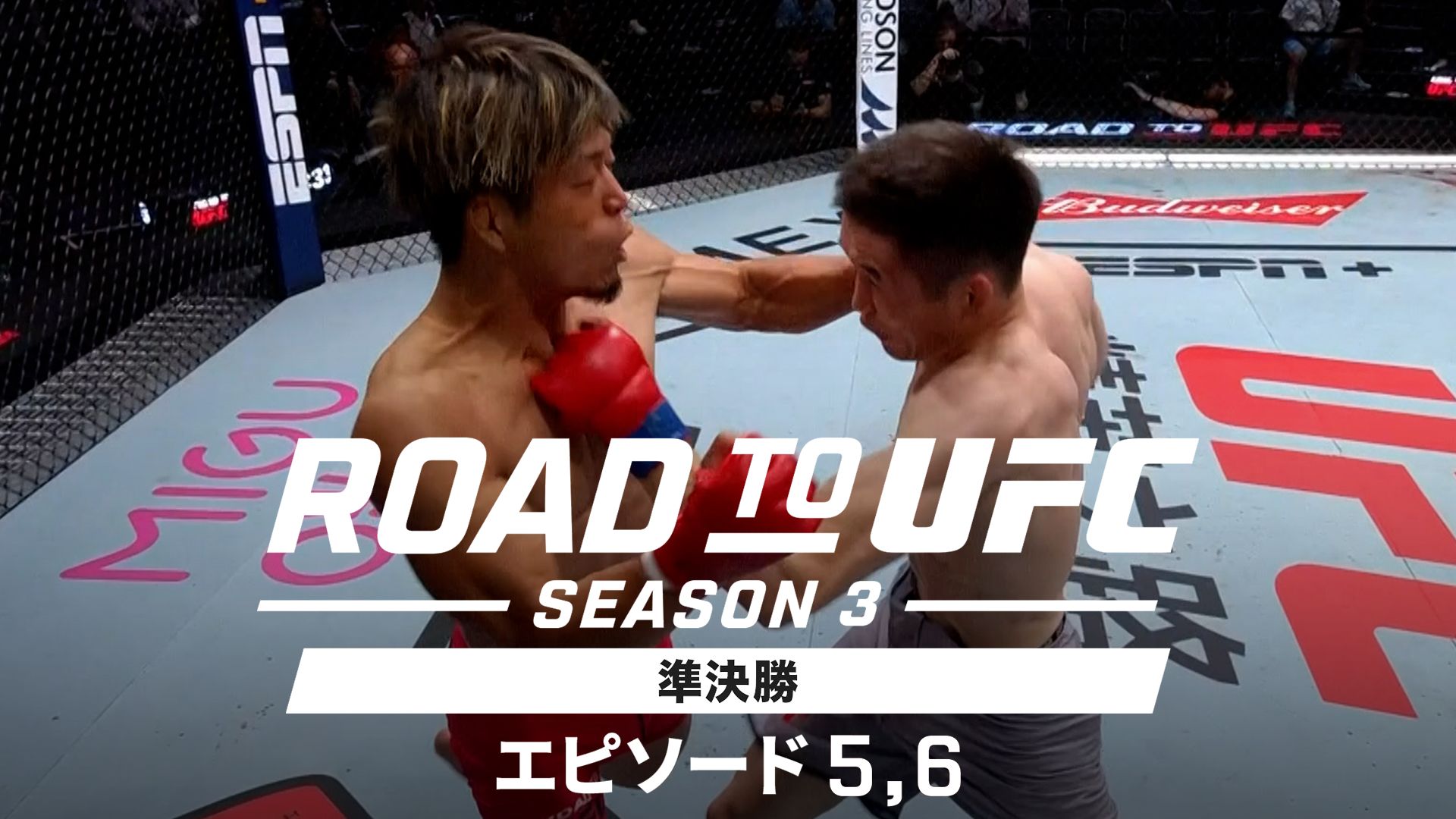 ROAD TO UFC シーズン3準決勝 エピソード5