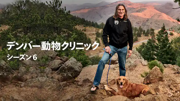 デンバー動物クリニック シーズン6