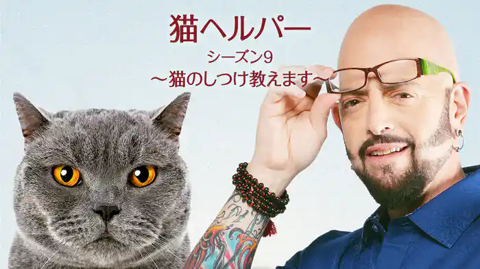 猫ヘルパー シーズン9~猫のしつけ教えます~