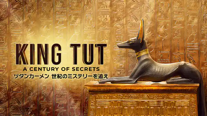 ツタンカーメン 世紀のミステリーを追え