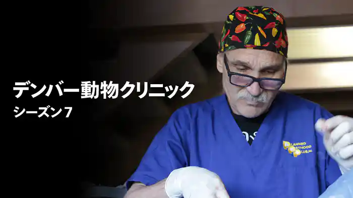デンバー動物クリニック シーズン7
