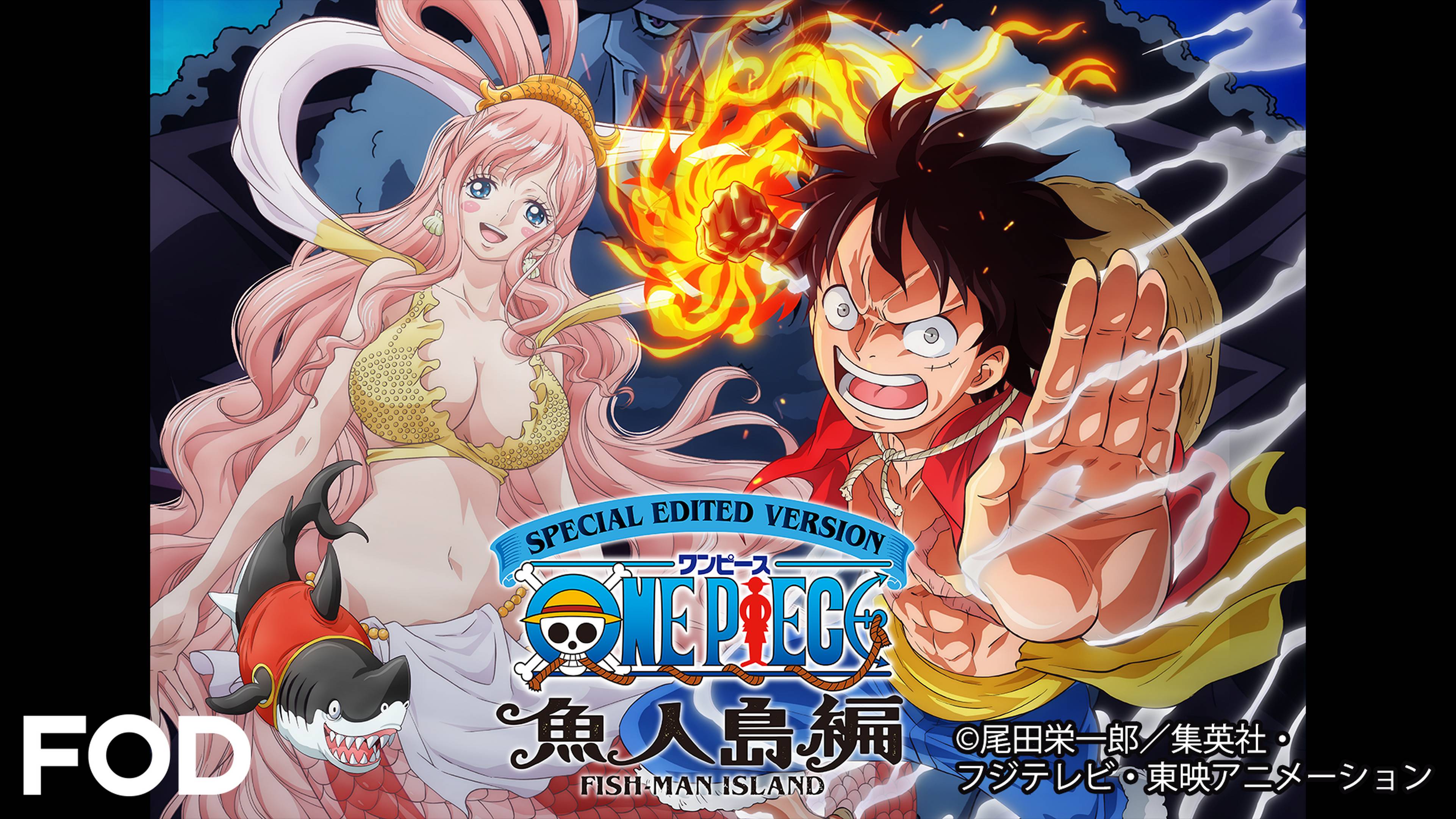 SPECIAL EDITED VERSION 『ONE PIECE』魚人島編