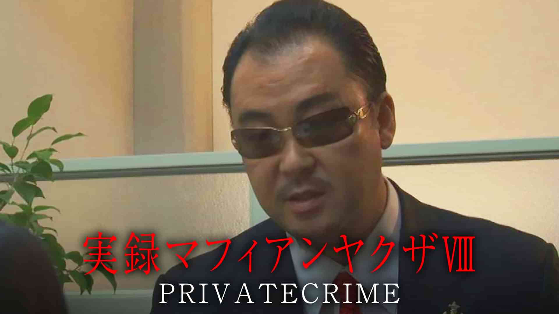 実録マフィアンヤクザⅧ　PRIVATECRIME