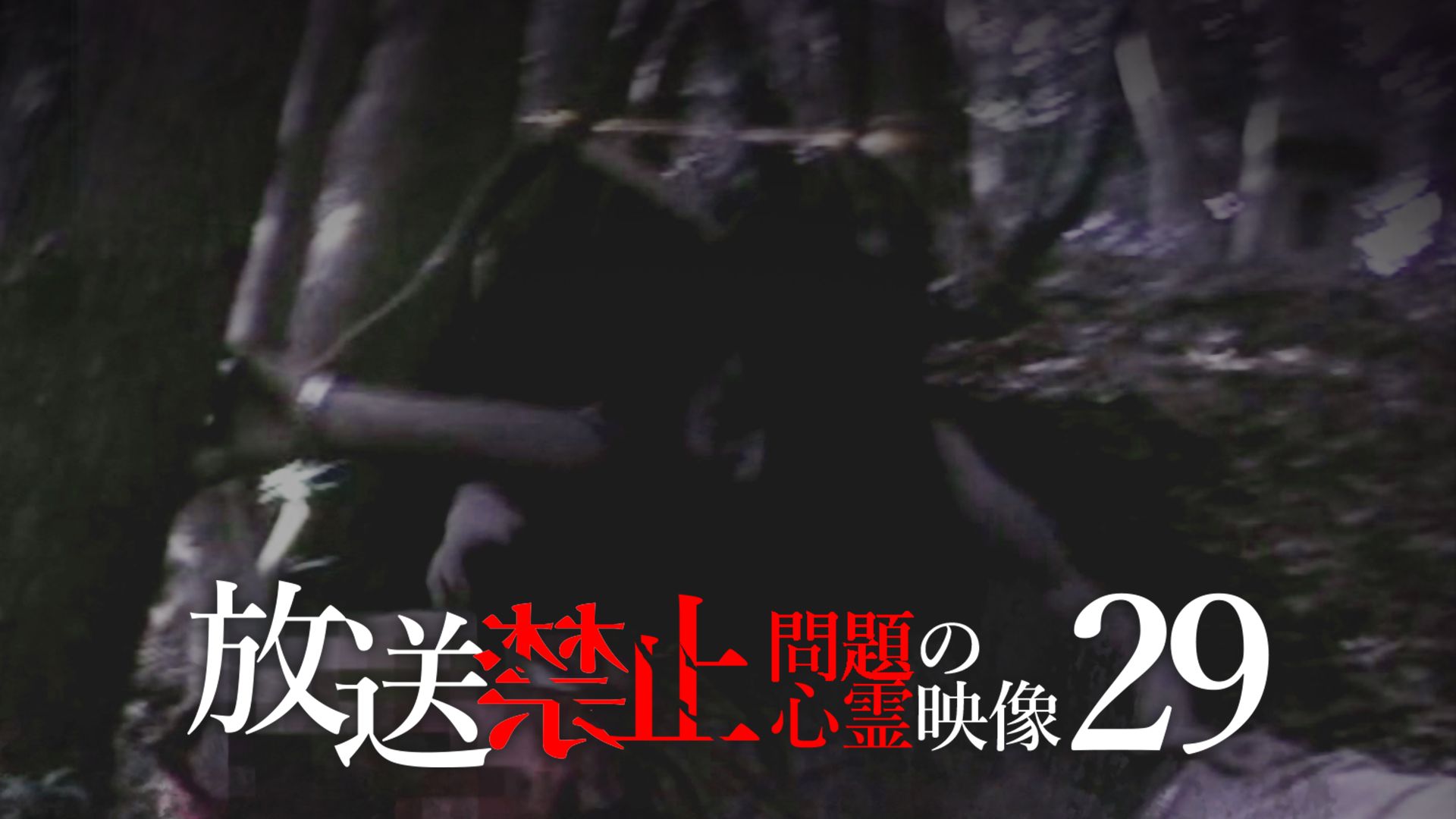 放送禁止 問題の心霊映像29