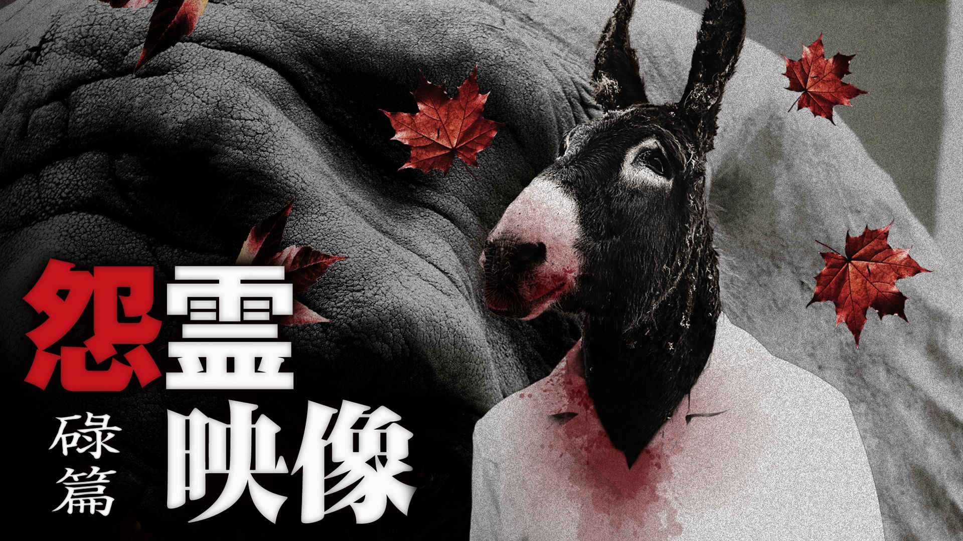 怨霊映像 碌篇