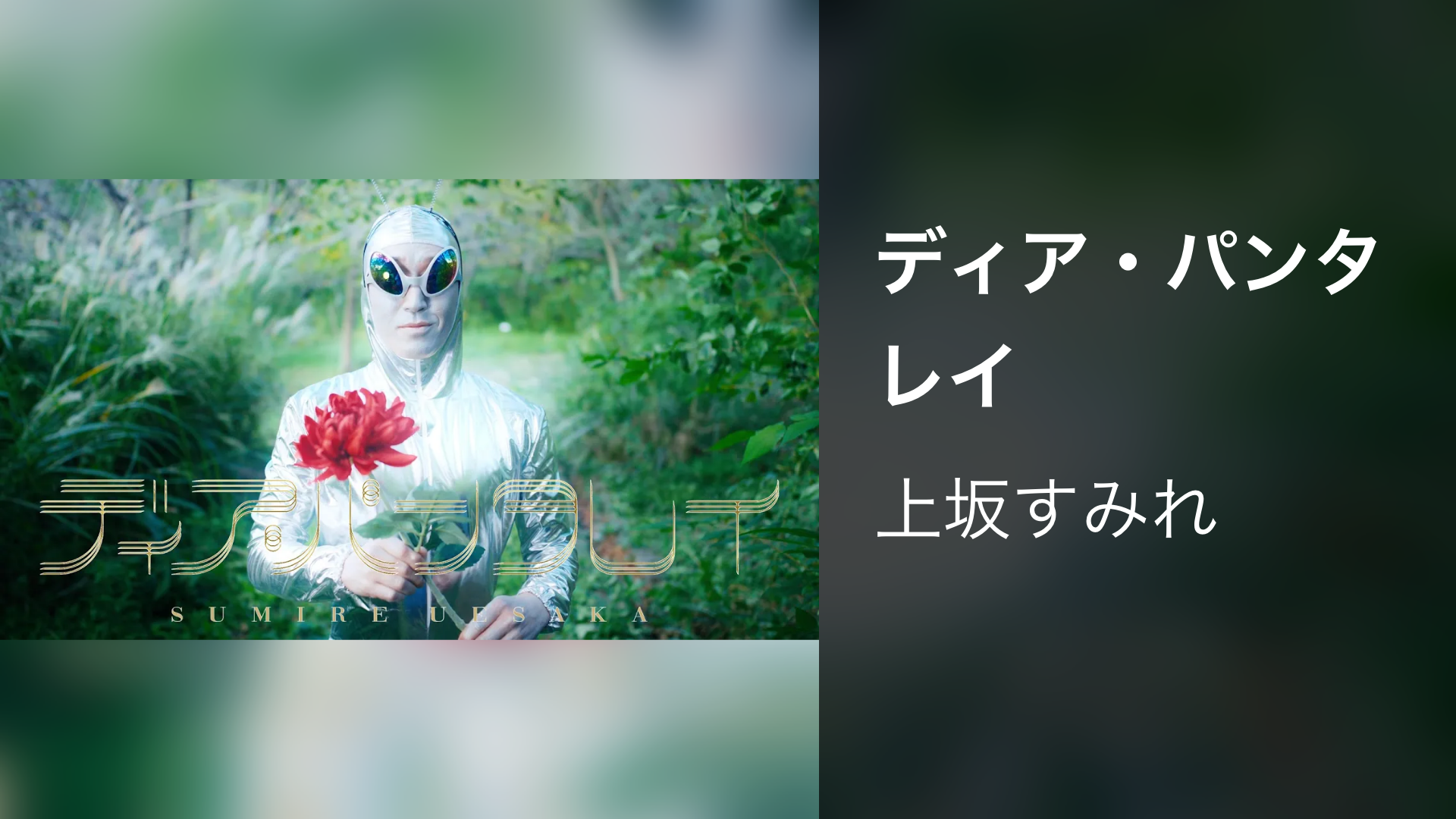 ディア・パンタレイ - サムネイル