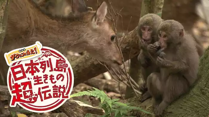 劇場版 ダーウィンが来た！ 日本列島生き物超伝説