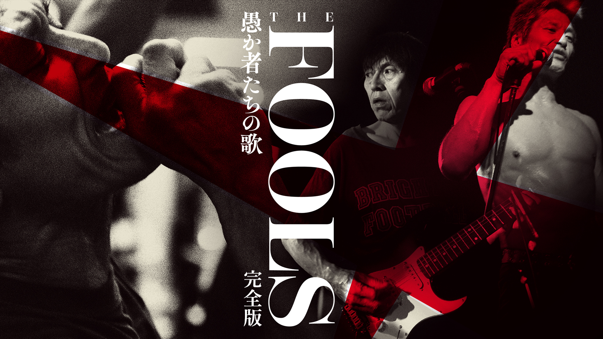 THE FOOLS 愚か者たちの歌＜完全版＞ - サムネイル