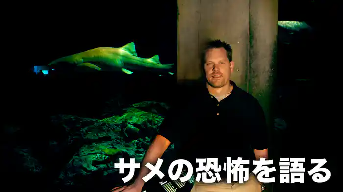 サメの恐怖を語る