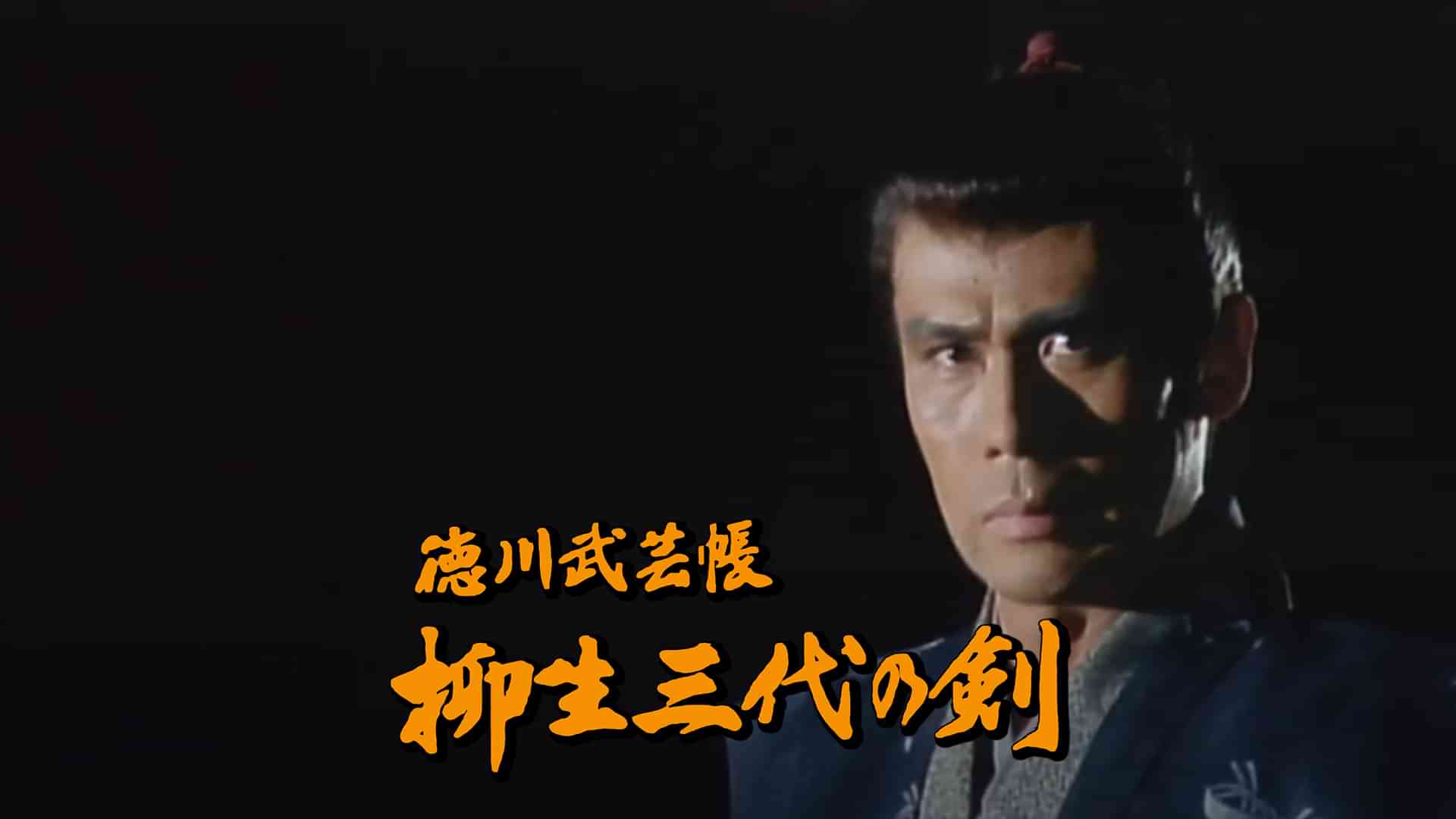 徳川武芸帳　柳生三代の剣