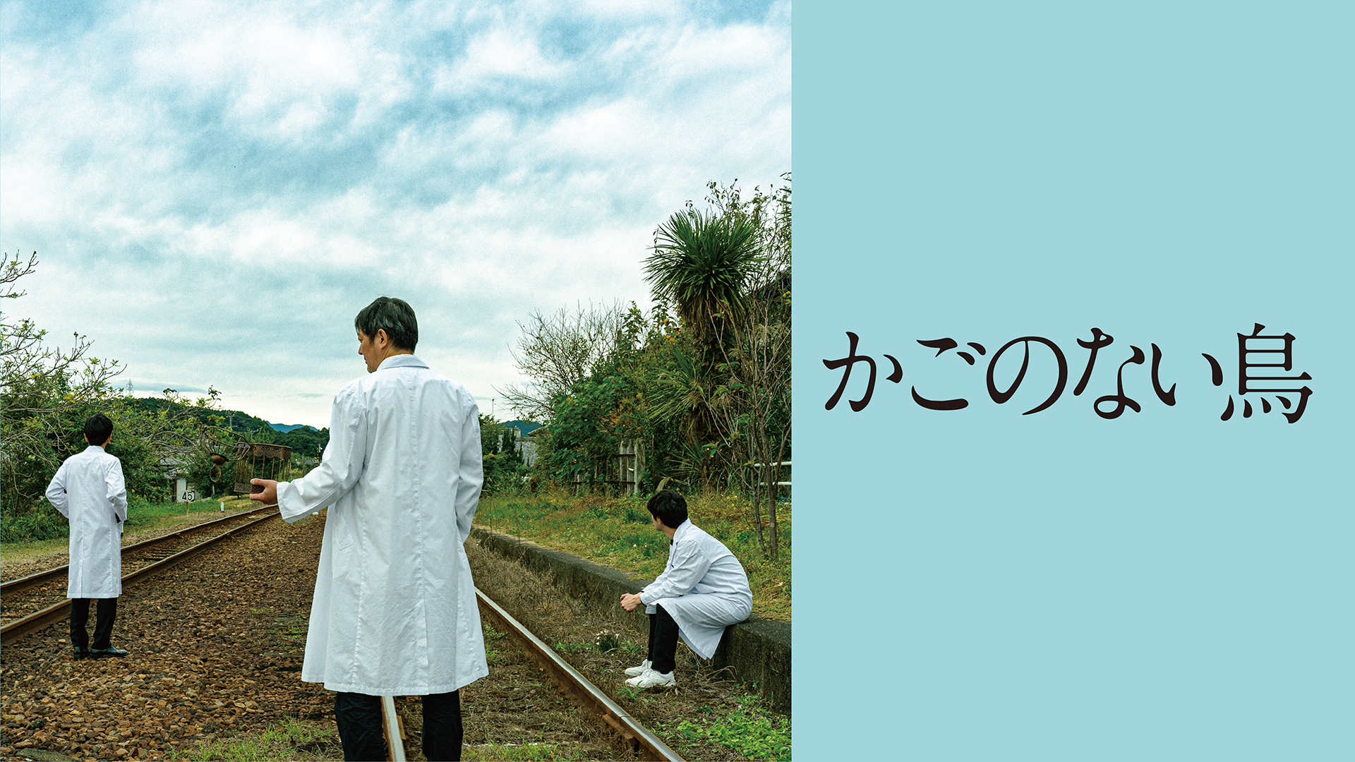 かごのない鳥 - サムネイル