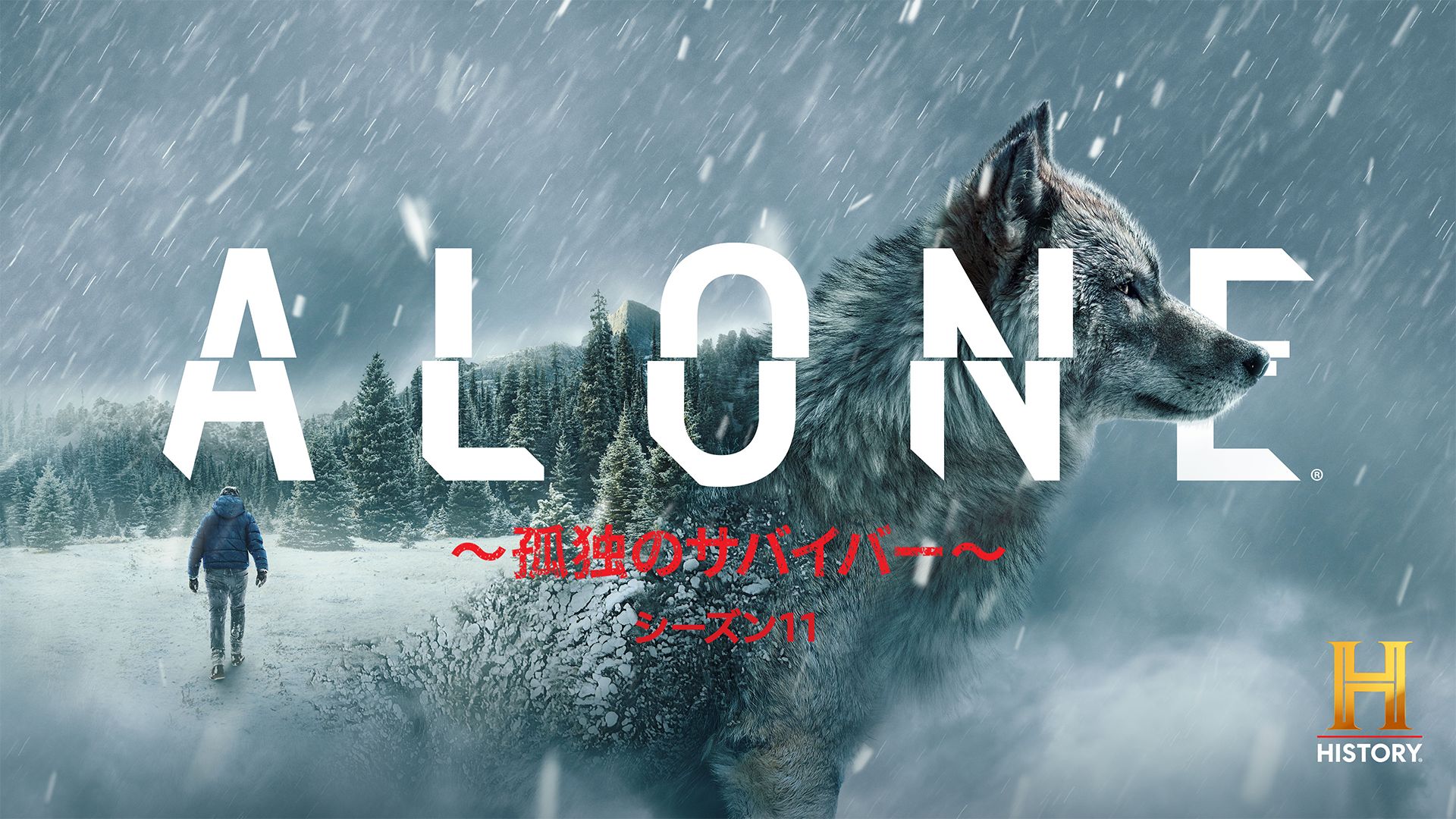 ALONE 〜孤独のサバイバー〜 シーズン11