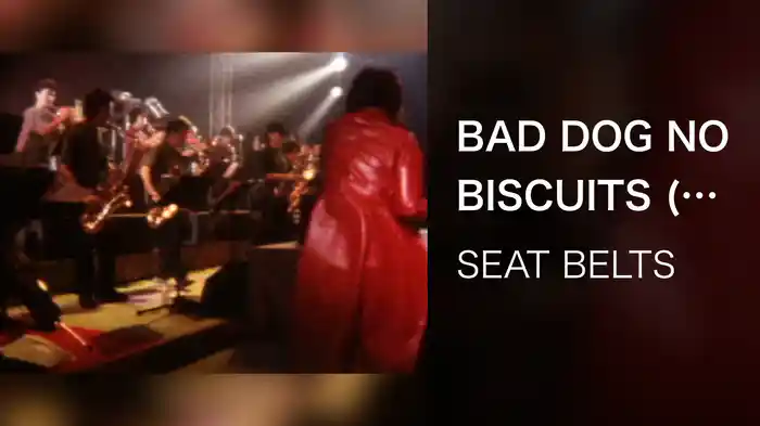 BAD DOG NO BISCUITS (Live 2001/8/10)