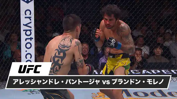アレッシャンドレ・パントージャ vs. ブランドン・モレノ