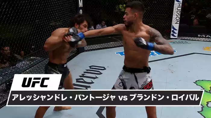 アレッシャンドレ・パントージャ vs. ブランドン・ロイバル