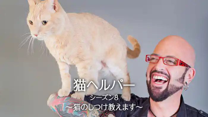 猫ヘルパー シーズン8～猫のしつけ教えます～