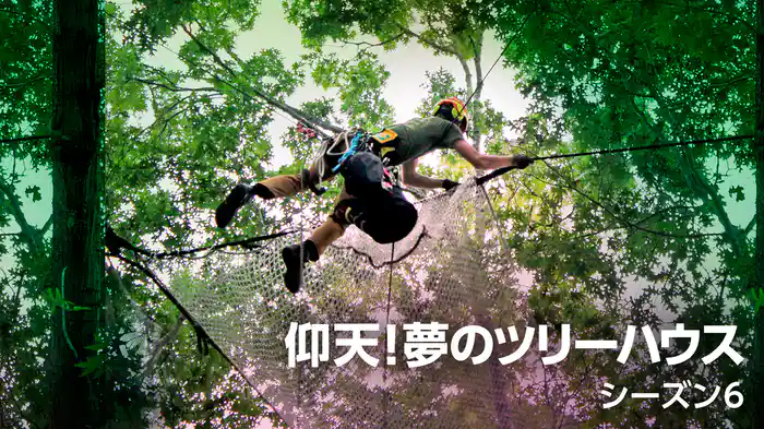 仰天！夢のツリーハウス シーズン6