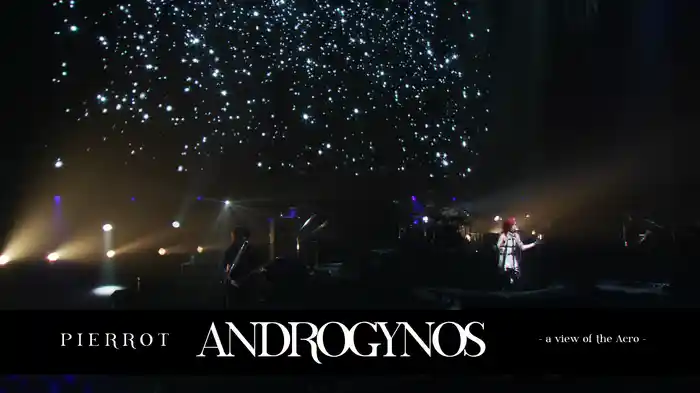【PIERROT】ANDROGYNOS - a view of the Acro -