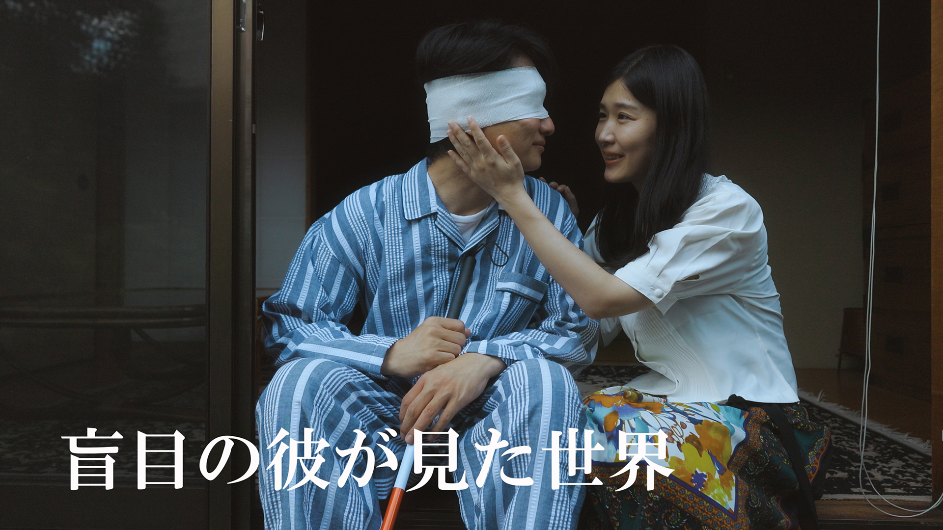 盲目の彼が見た世界 - サムネイル