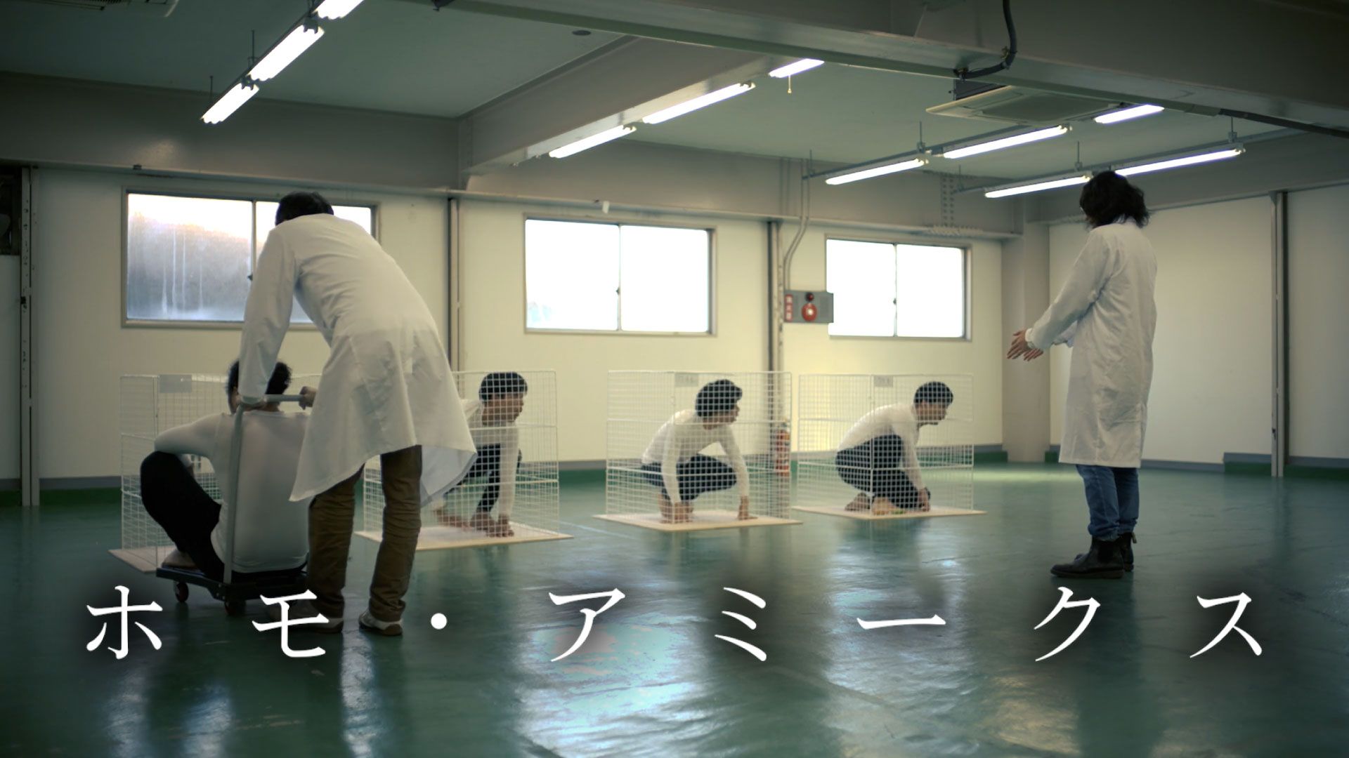 ホモ・アミークス