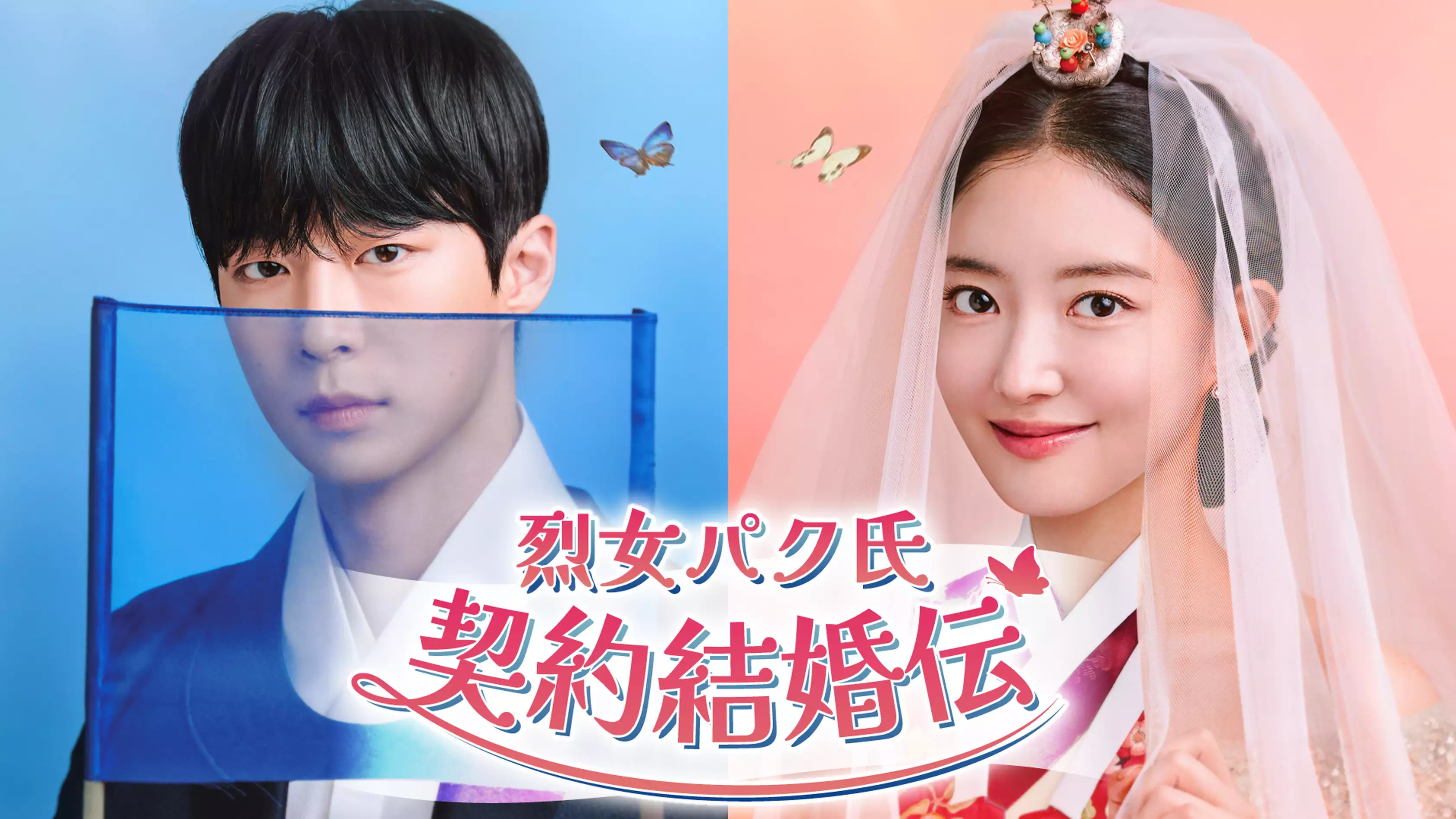 韓国ドラマ『烈女パク氏契約結婚伝』の日本語字幕版の動画を全話無料で見れる配信アプリまとめ