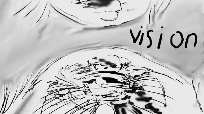 Vision