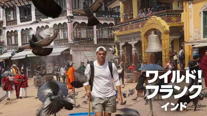 ワイルド！フランク インド