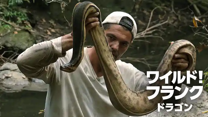ワイルド！フランク ドラゴン