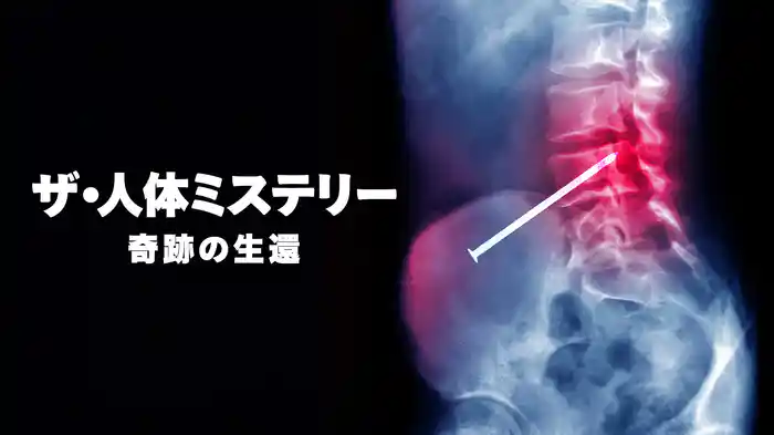 ザ・人体ミステリー 奇跡の生還