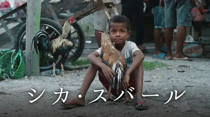 シカ・スバール