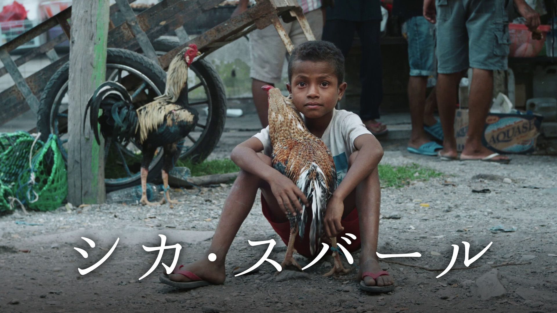 シカ・スバール - サムネイル