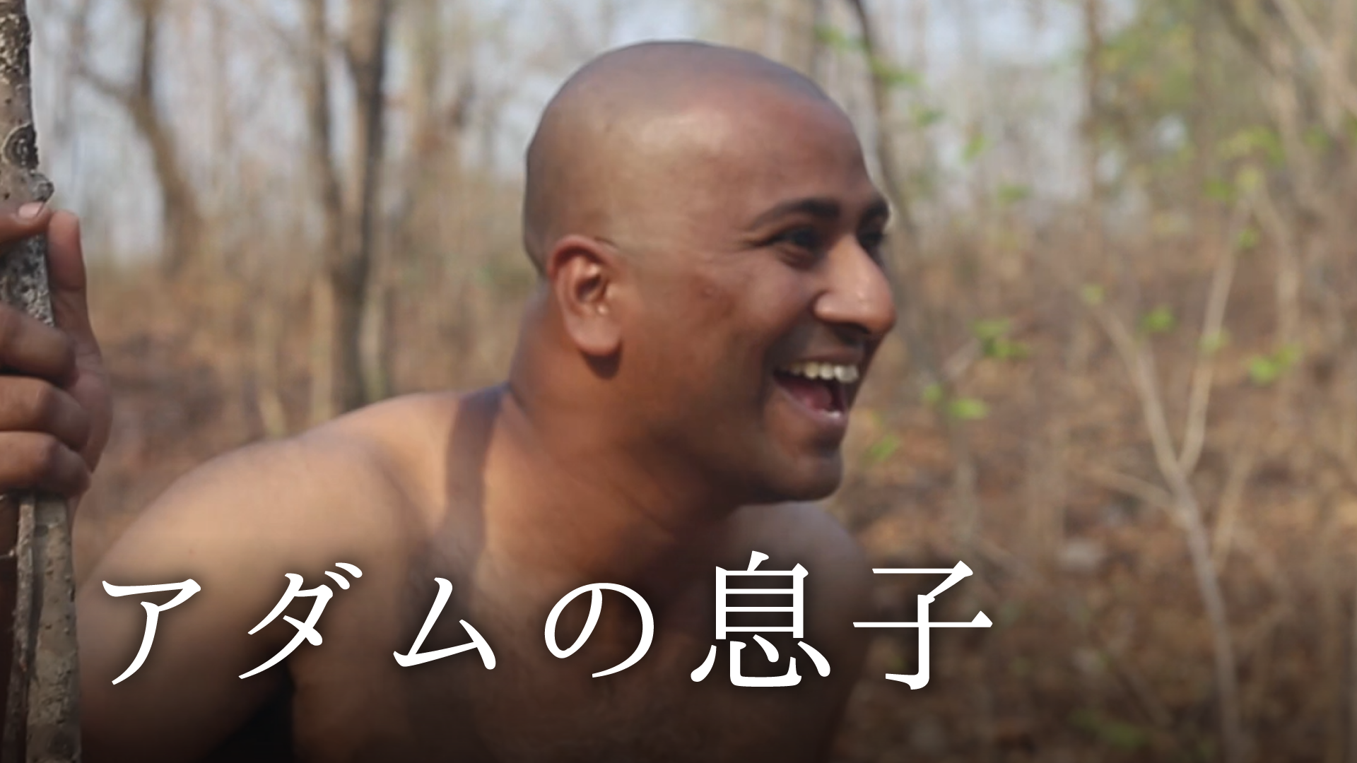 アダムの息子 - サムネイル