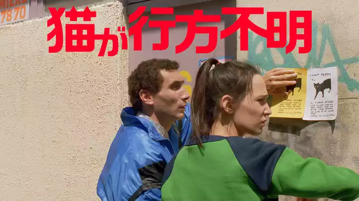 猫が行方不明