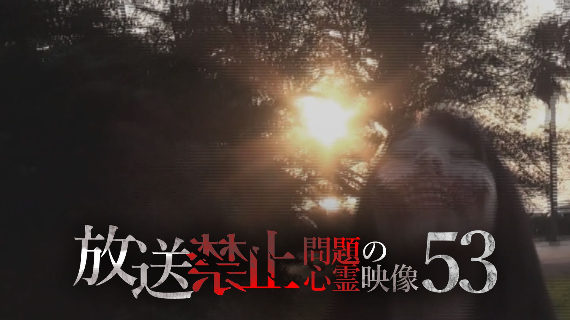 放送禁止 問題の心霊映像53