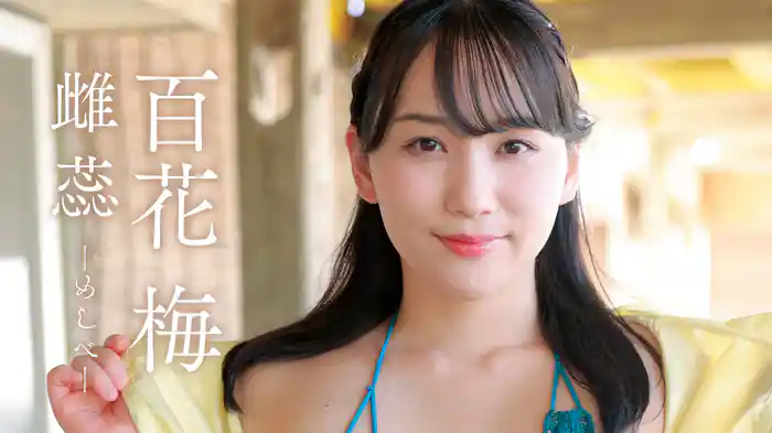 百花 梅『雌蕊‑めしべ-』