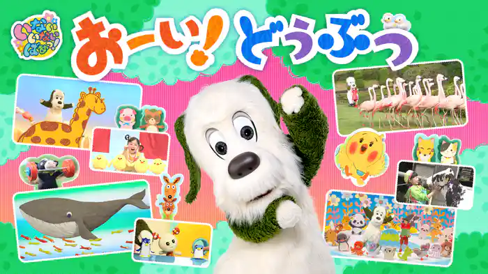 いないいないばあっ！おーい！どうぶつ