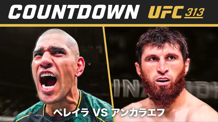 UFC カウントダウン 313 ペレイラ vs. アンカラエフ