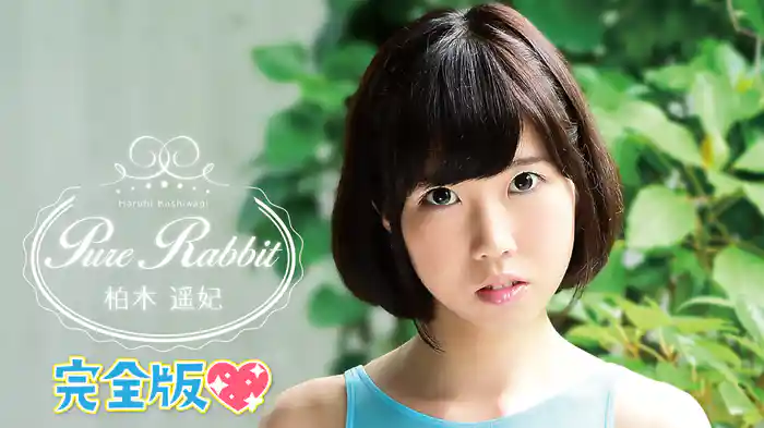 柏木遥妃『Pure Rabbit 完全版』