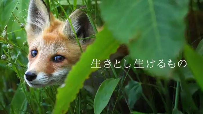 生きとし生けるもの