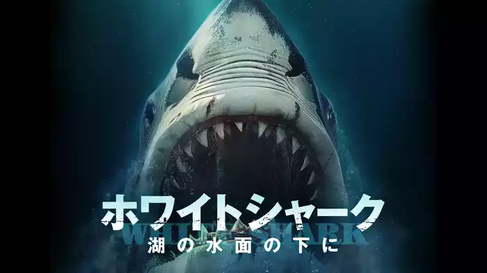 ホワイトシャーク　湖の水面の下に
