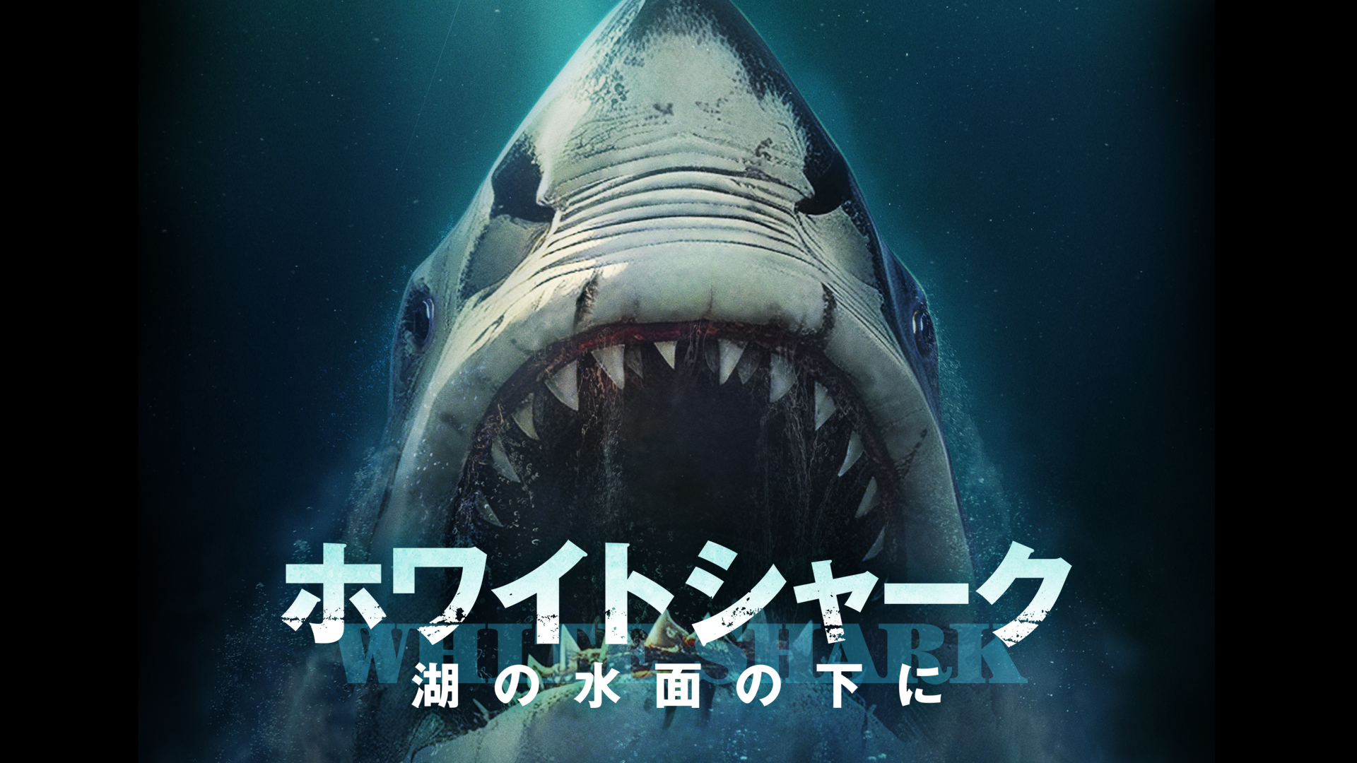 ホワイトシャーク　湖の水面の下に - サムネイル