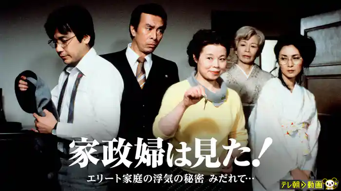 家政婦は見た！　エリート家庭の浮気の秘密　みだれて…