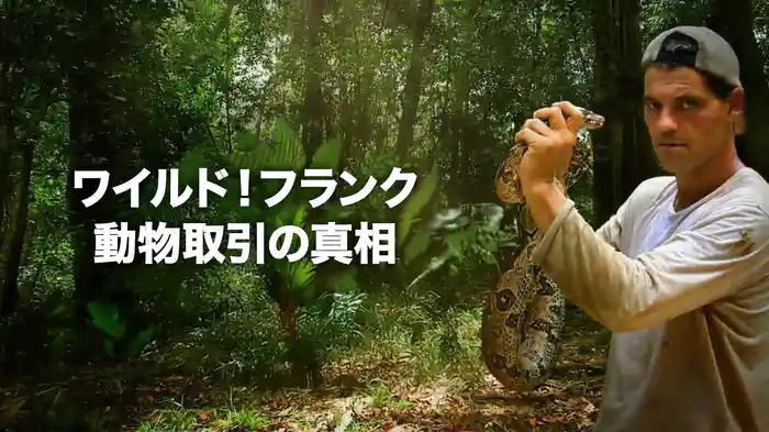 ワイルド！フランク 動物取引の真相