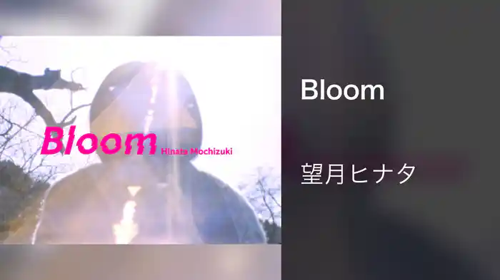 Bloom